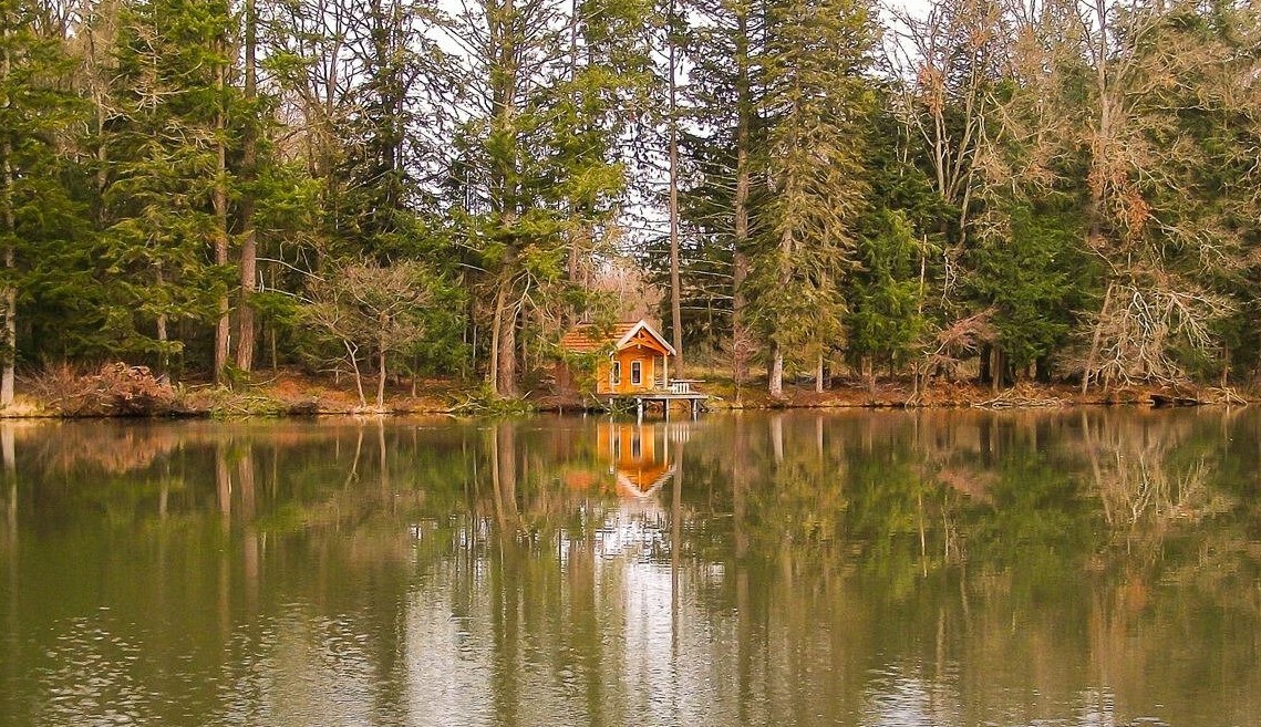 Cabane sur l'étang  à Billezois