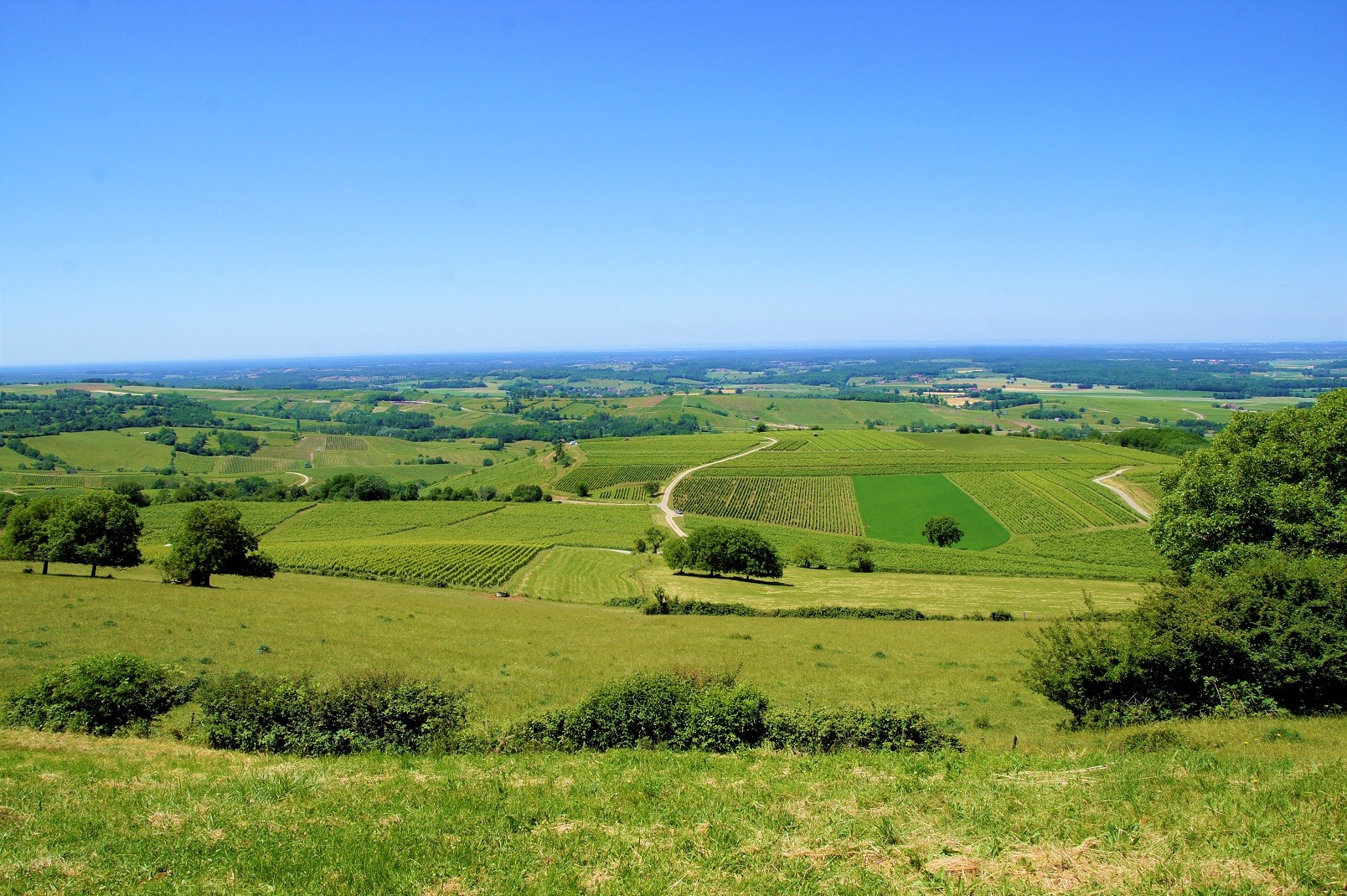 Campagne autour d'Arbois