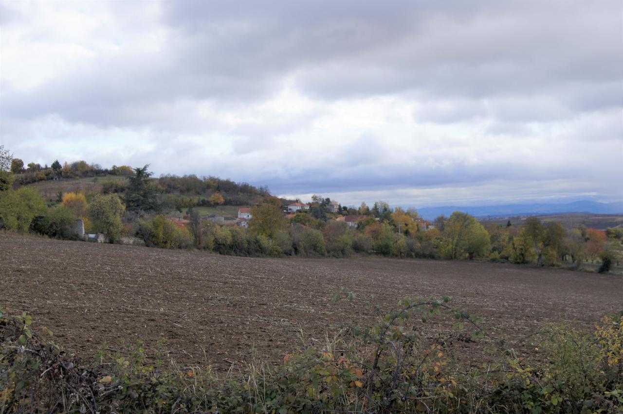 Campagne autour d'Artonne