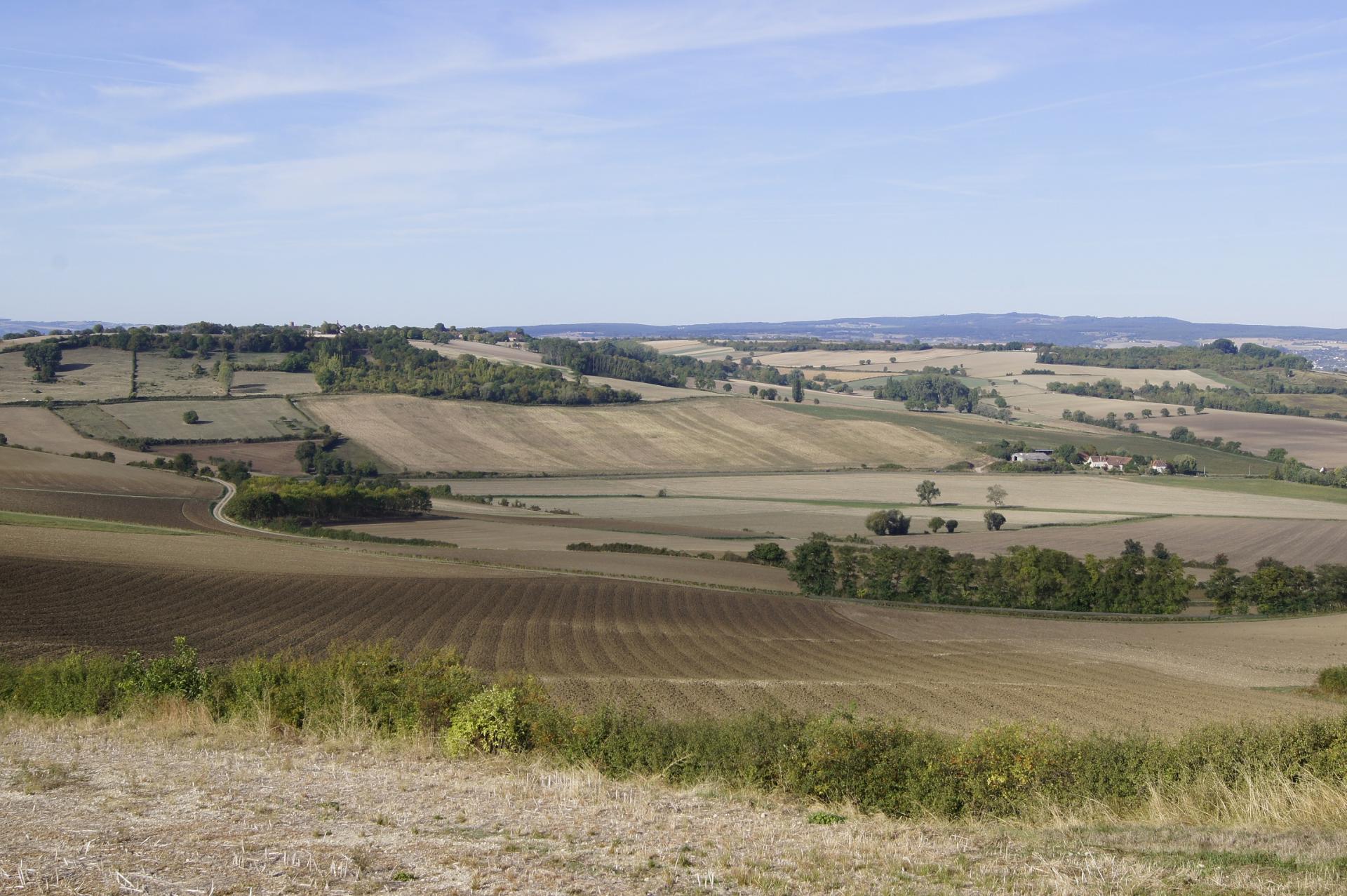 Campagne autour d'Ussel d'Allier