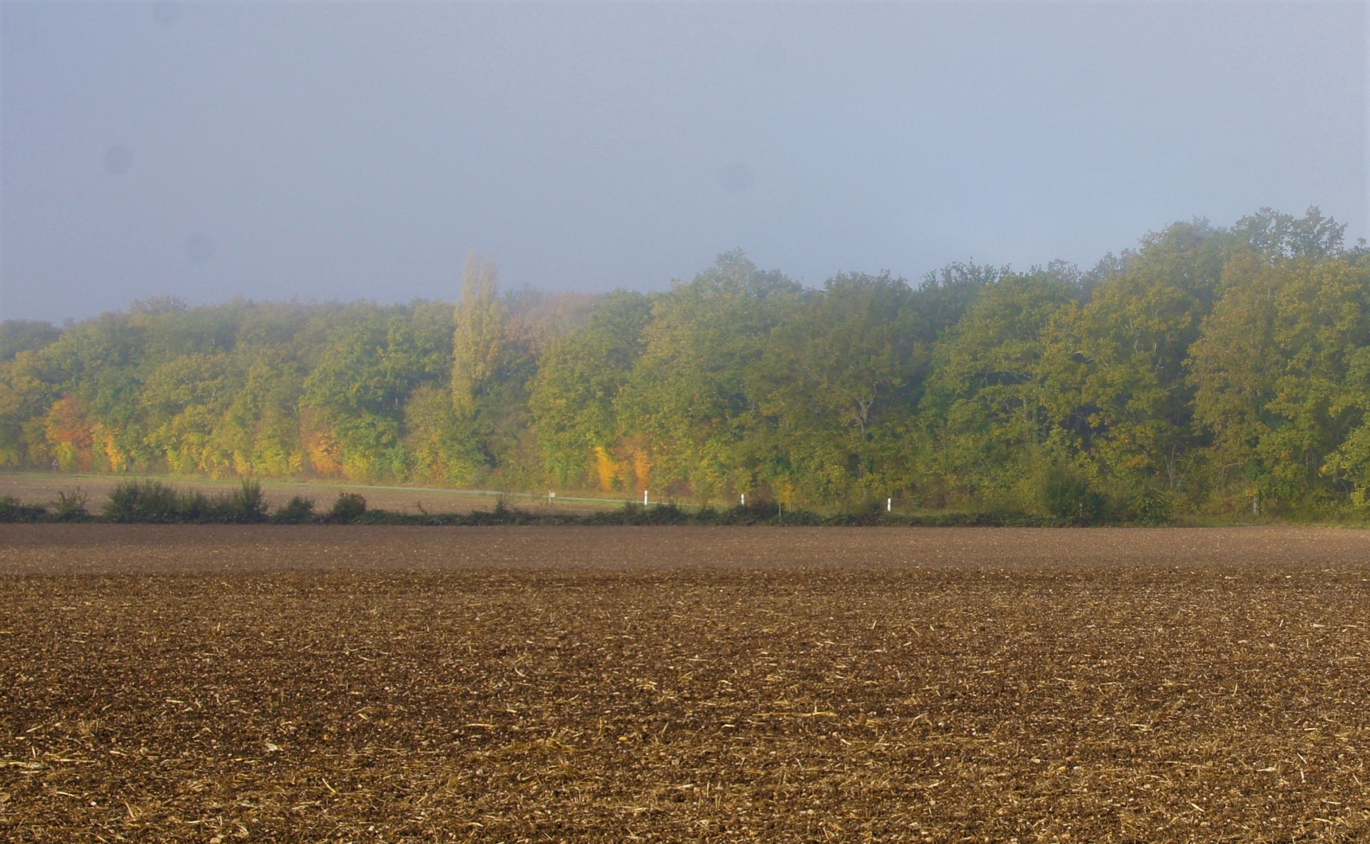 Campagne autour de Bayet