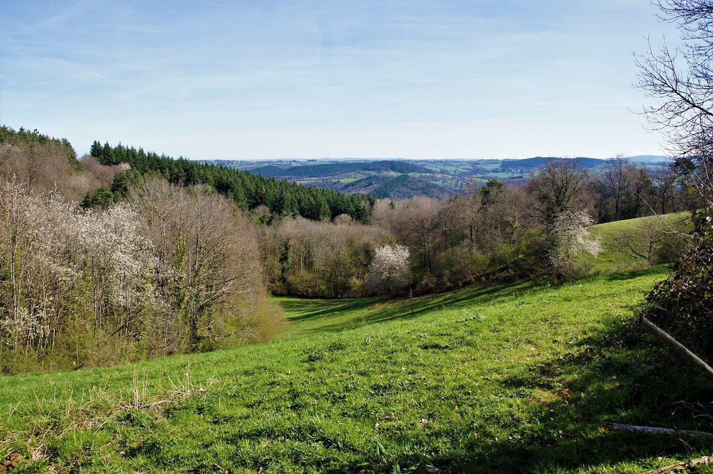 Campagne autour de Busset