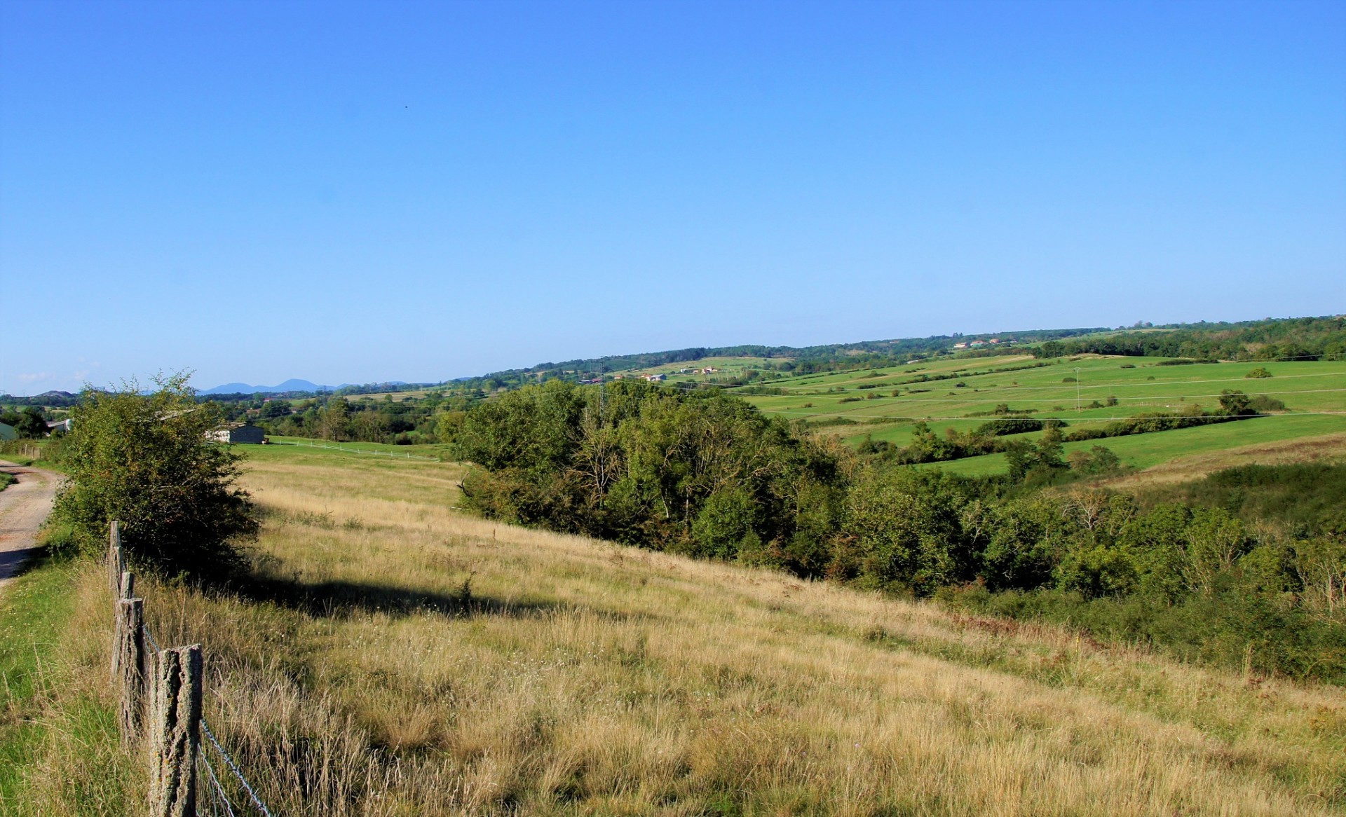 Campagne autour de Gannat