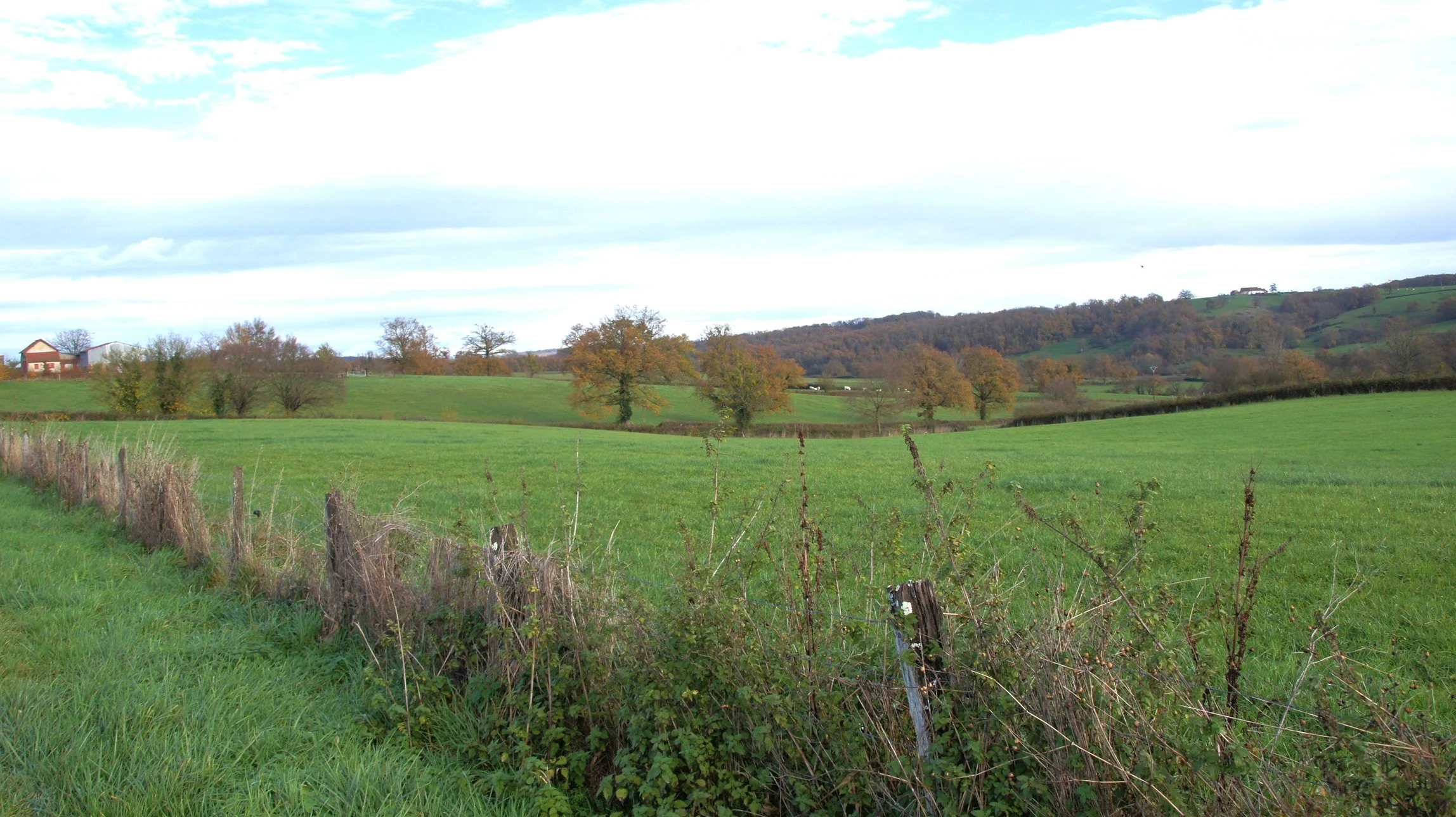 Campagne autour de Jaligny