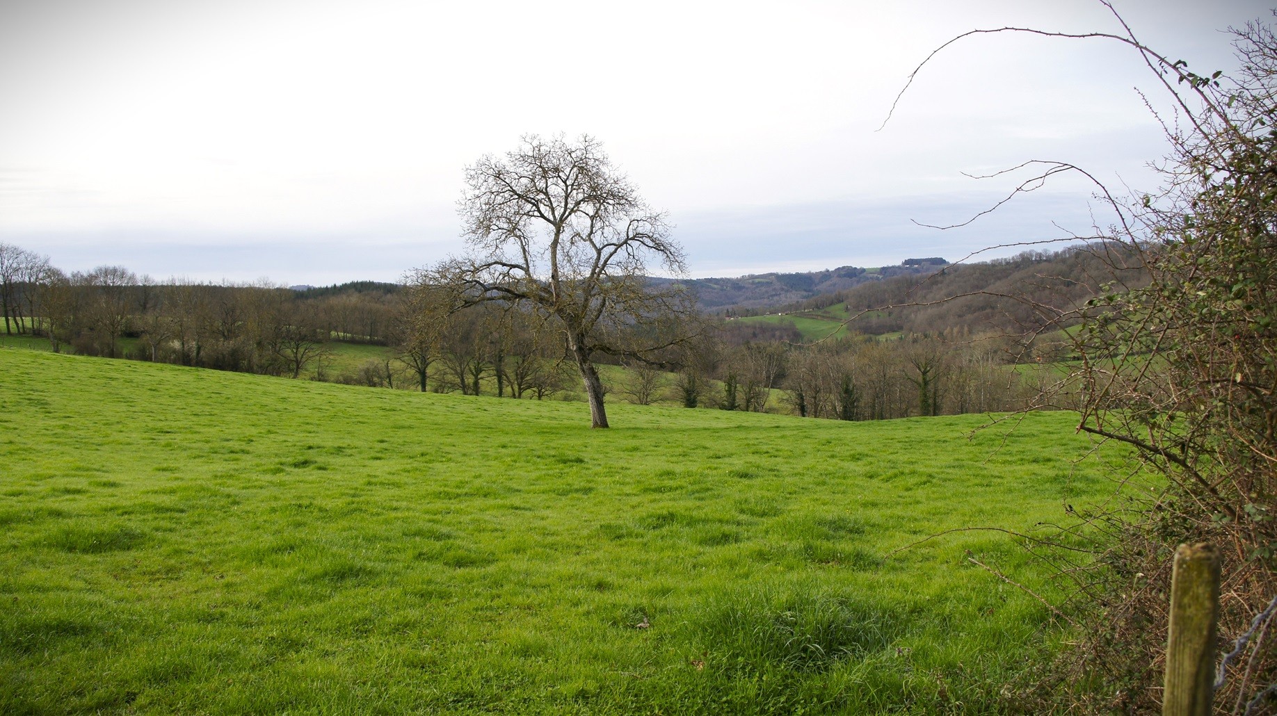 Campagne autour de Molles