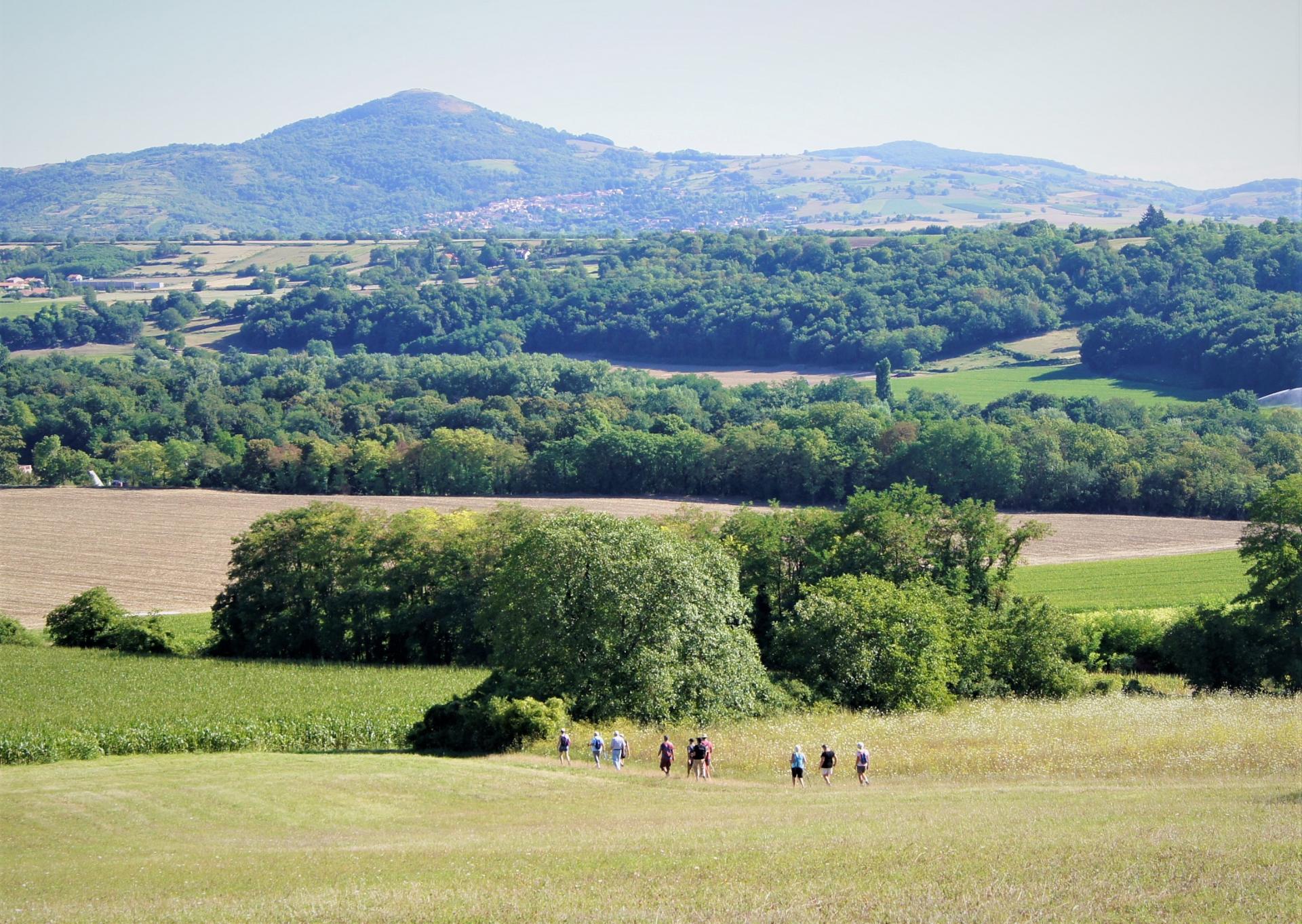 Campagne autour de Montpeyroux