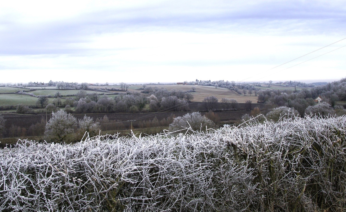 Campagne autour de St Rémy en Rollat2