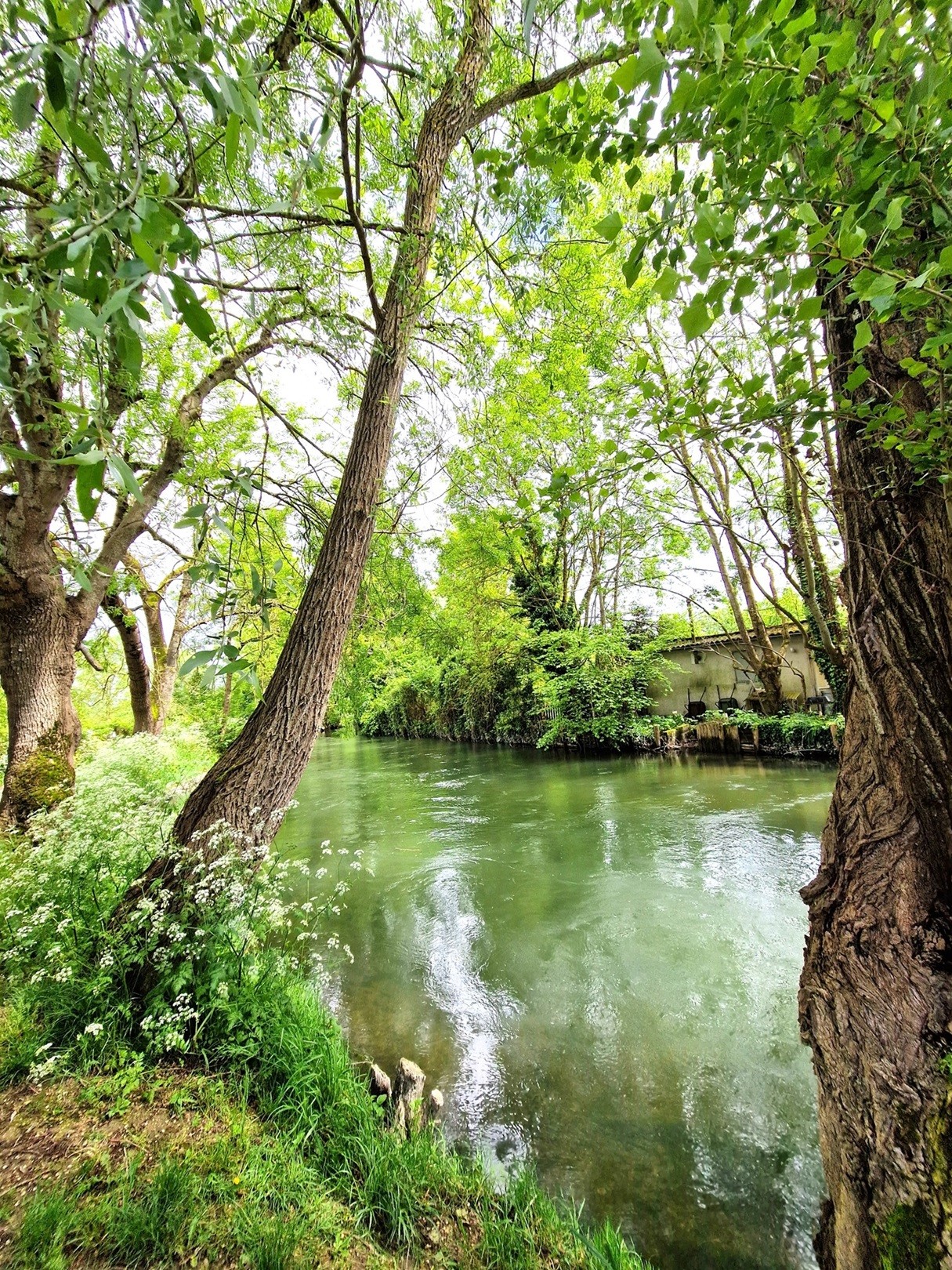 Canaux dans le marais de Bourges