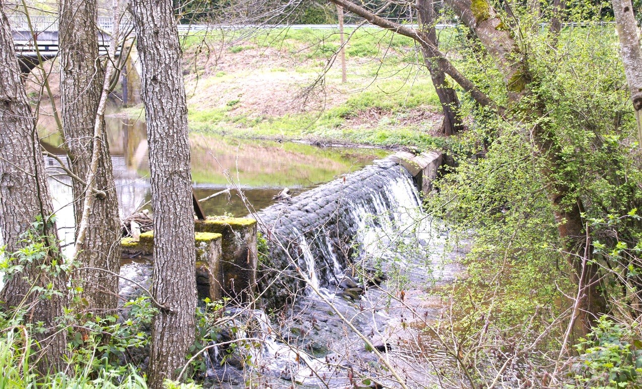 Cascade sur la rivière 