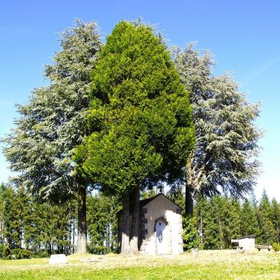 Chapelle de Gouttieres