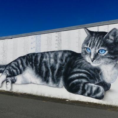 Chat à Gouttieres