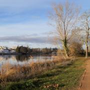 Chemin sur les bords de l'Allier décembre 2019