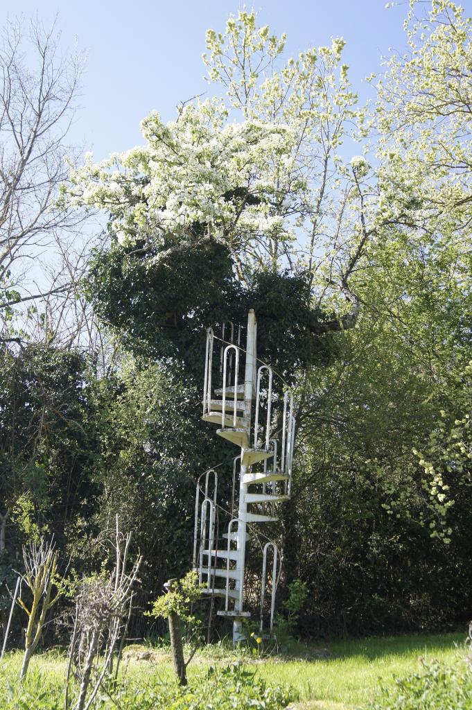 Curiosite sur le chemin des renards a Ebreuil