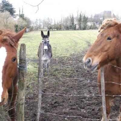 Des curieux sur le chemin à Effiat