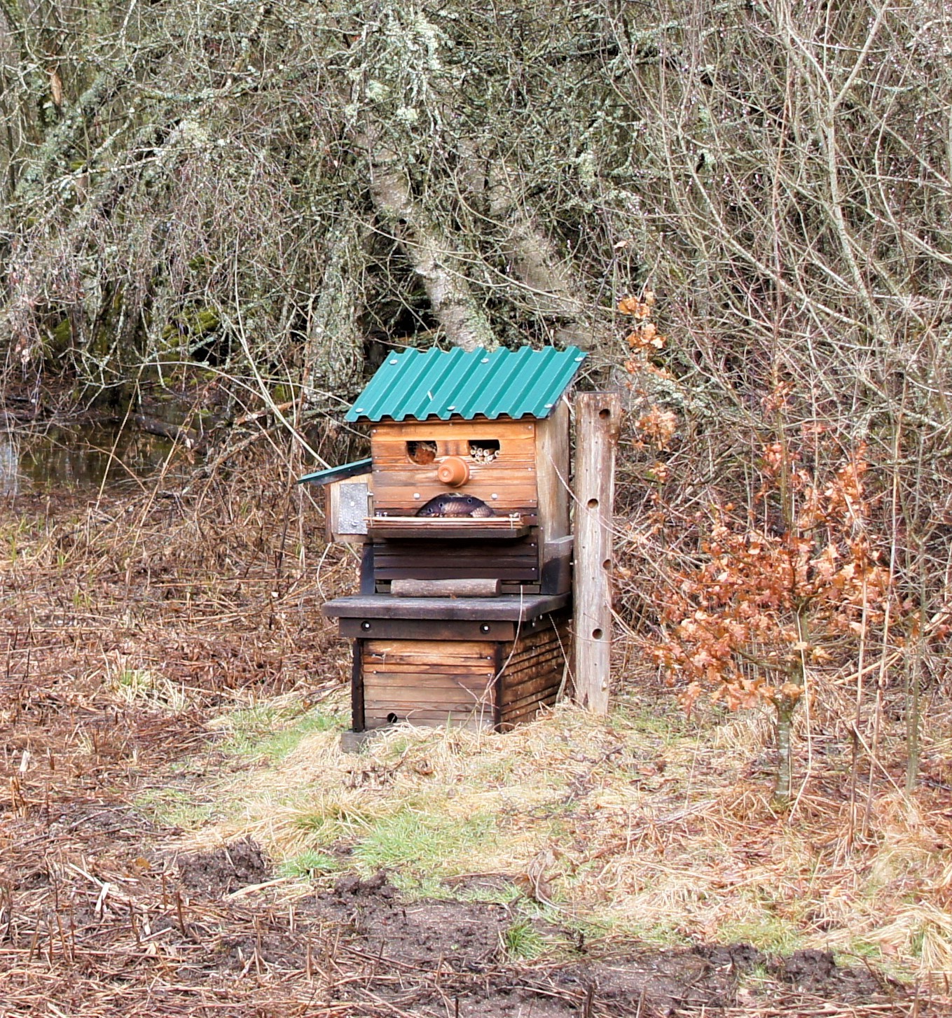 Drole de bonhomme au bord de l eau