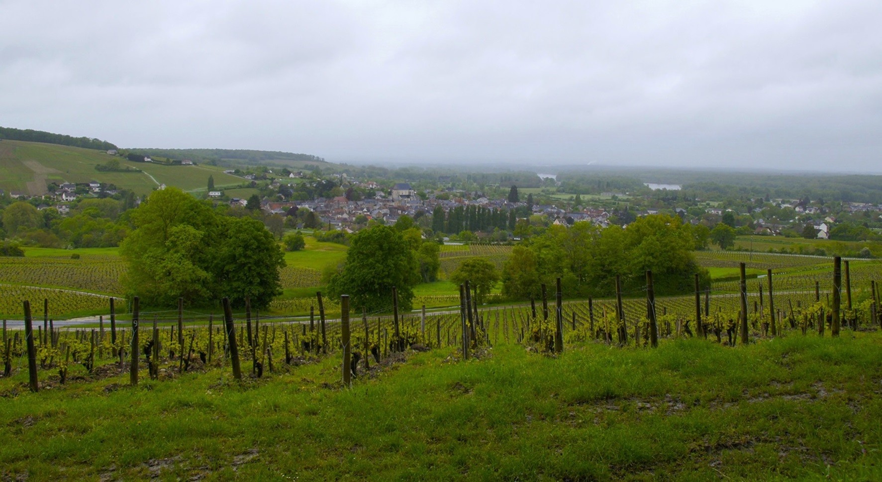 Campagne autour de Sancerre