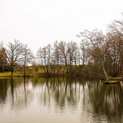 Etang à Billezois