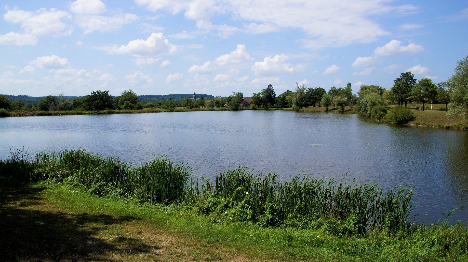 Etang de Monestier