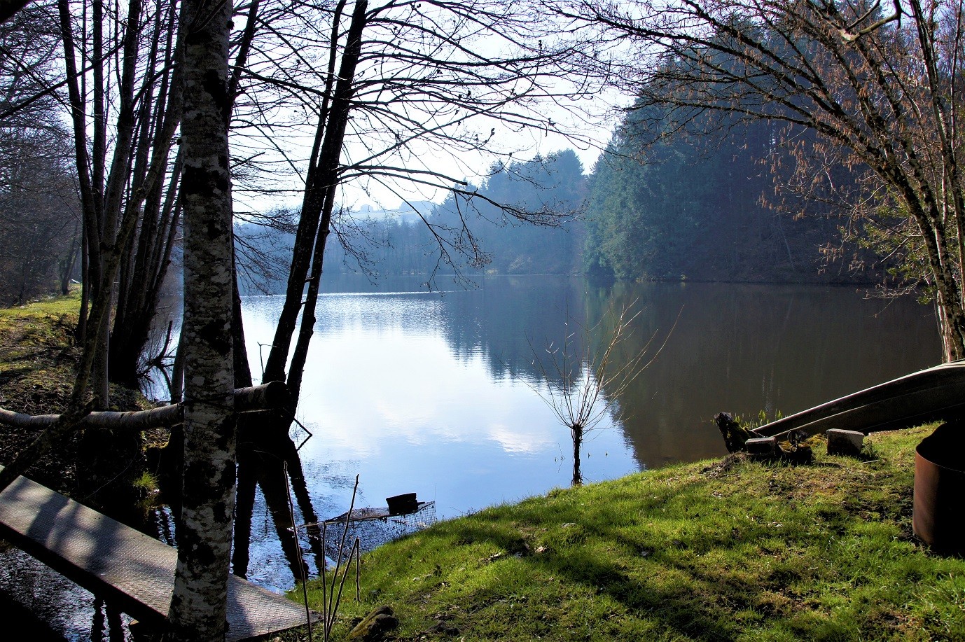 Etang sur le sentier de Ferriéres Sur sichon