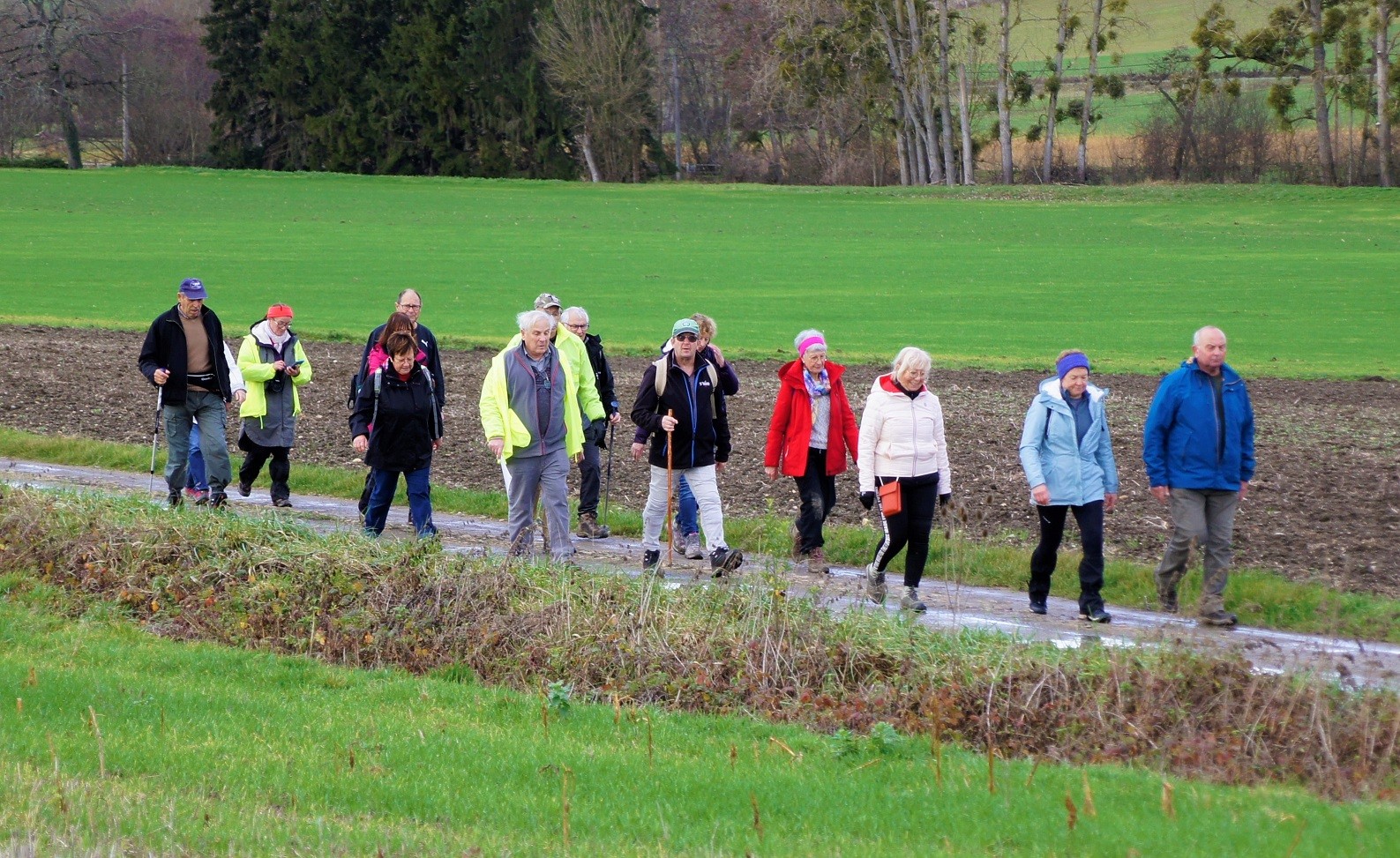 Groupe de marcheurs à Mons