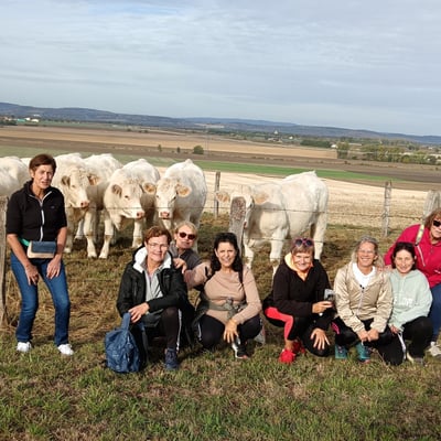 Marche des noyers 2026-7