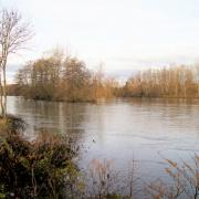 Chemin sur les bords de l'Allier décembre 2019