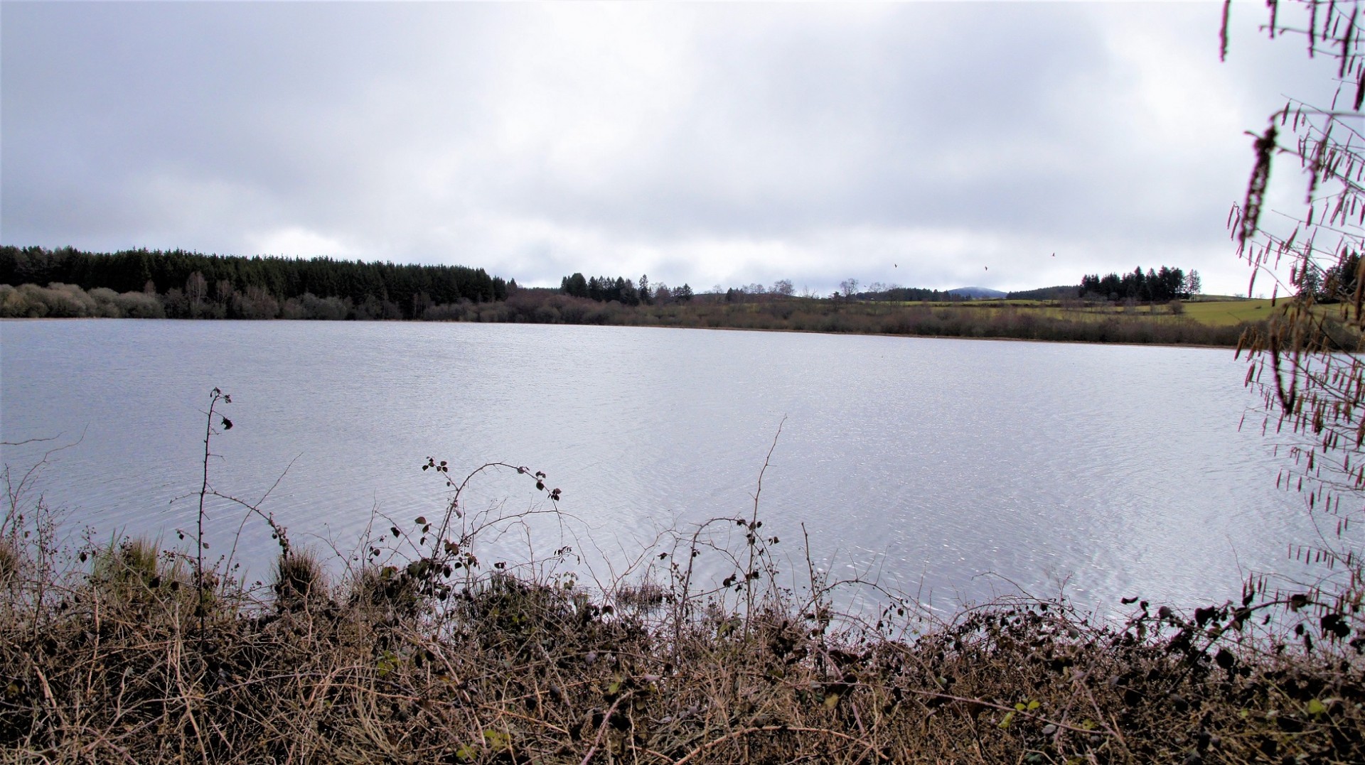 L'etang Grand de Pulvérières