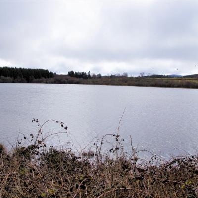 L'etang Grand de Pulvérières