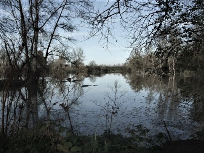 La boire des Carres