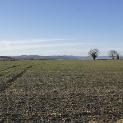 La campagne autour de Charroux