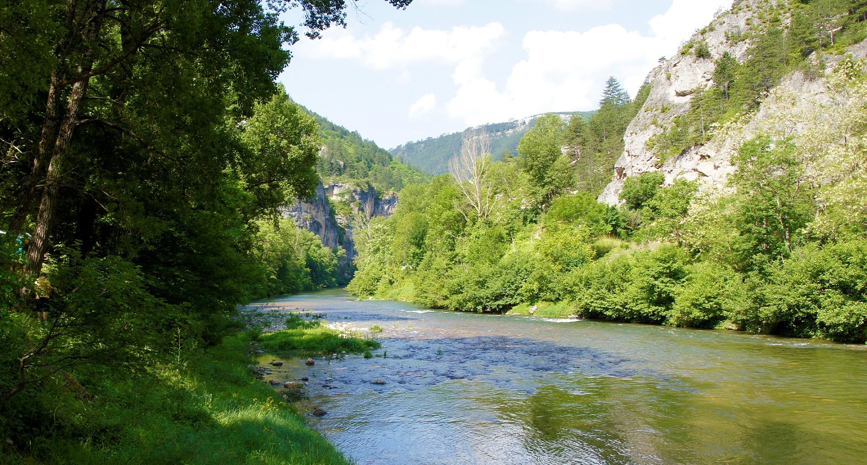 Le tarn à Sainte Enimie