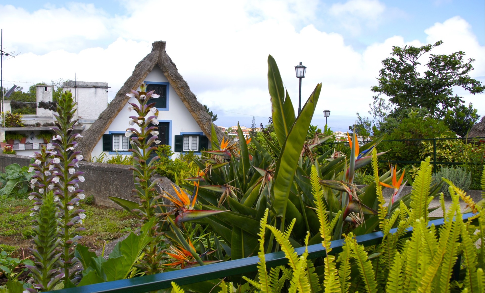 Maison typique à Santana
