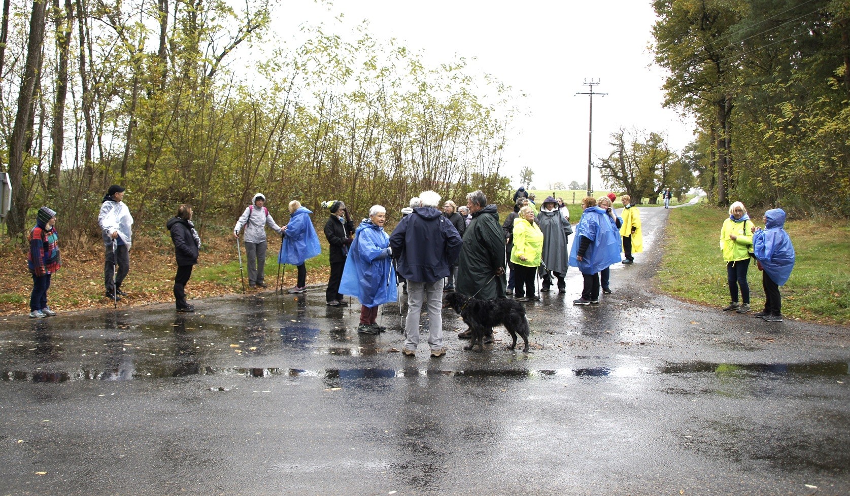 Marche à Billezois