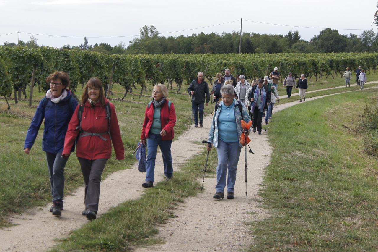 Marche à Saint-Pourçain septembre 2017