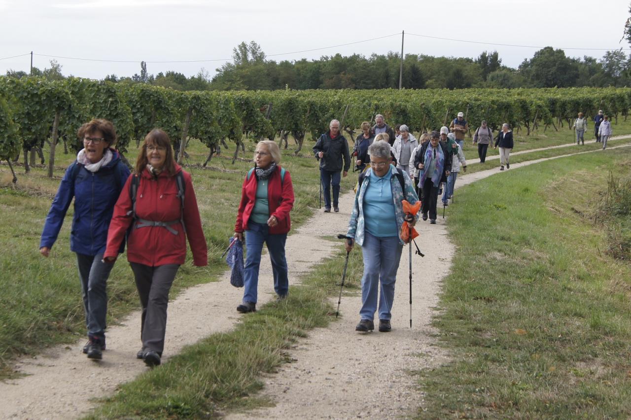 Marche a Saint-Pourçain