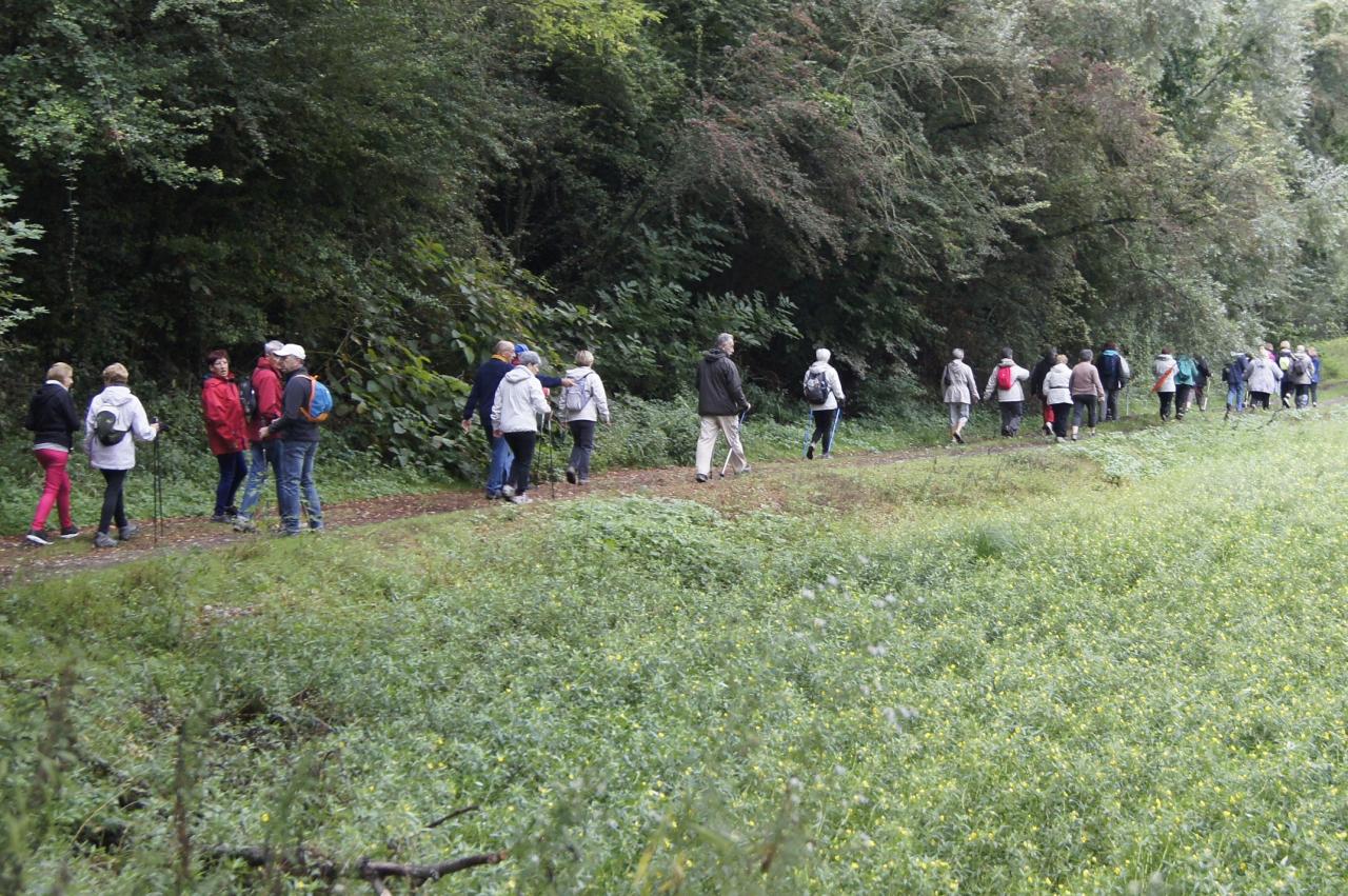 Marche deBilly septembre 2016
