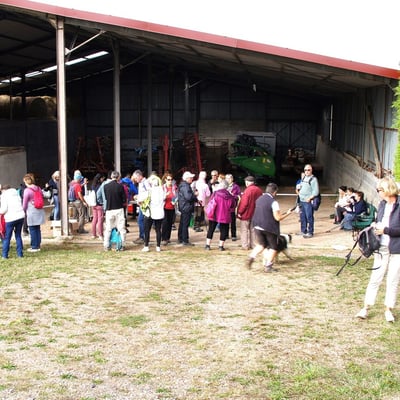 Marche des noyers 2026-2 