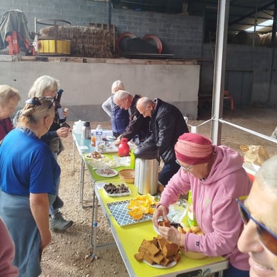 Marche des noyers 2026-5 