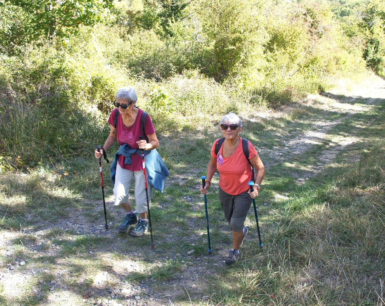 Marcheurs à Chatel-Guyon 2 