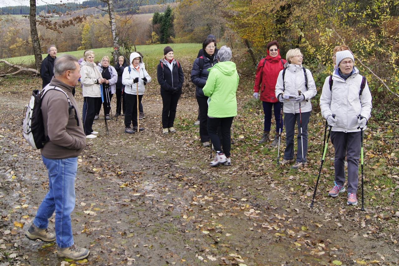 Marcheurs a Ferrieres sur sichon novembre 2016