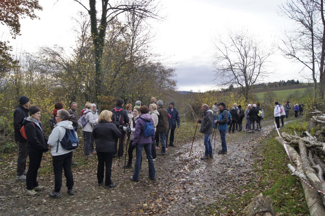 Marcheurs a Ferrieres sur  sichon2 novembre 2016