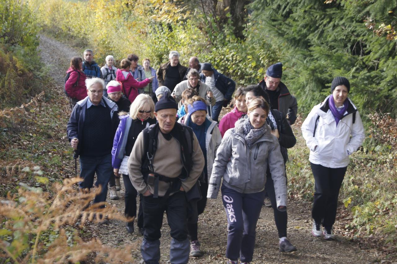 Marcheurs a Ferrieres sur  sichon3 novembre 2016