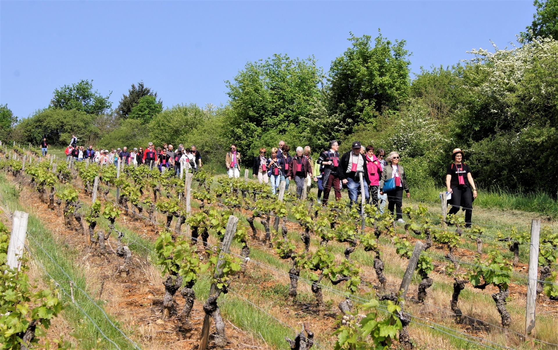 Marcheurs a Marcy mai 2018