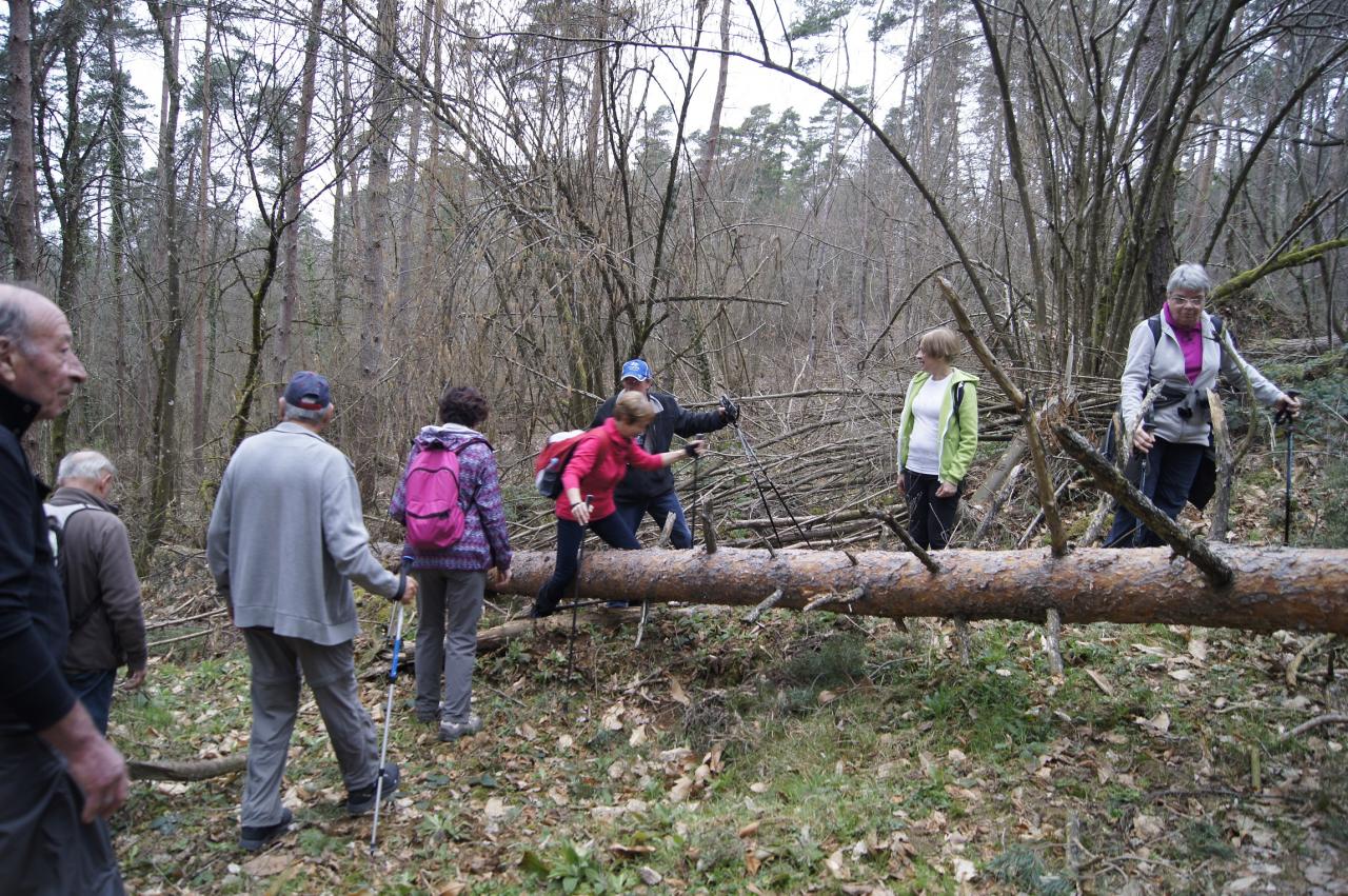Marcheurs à Mariol1 mars 2017
