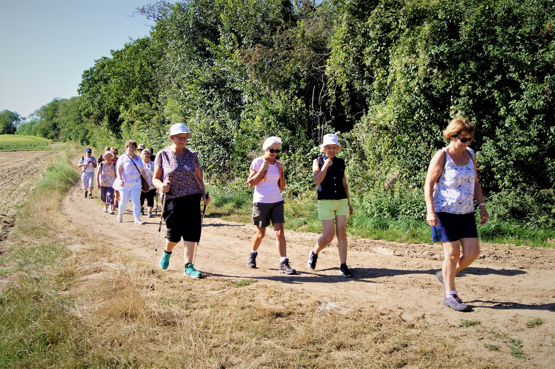 Marcheurs à Montpeyroux septembre 2018