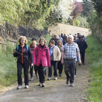 Marcheurs sur les chemins à Buxières les Mines
