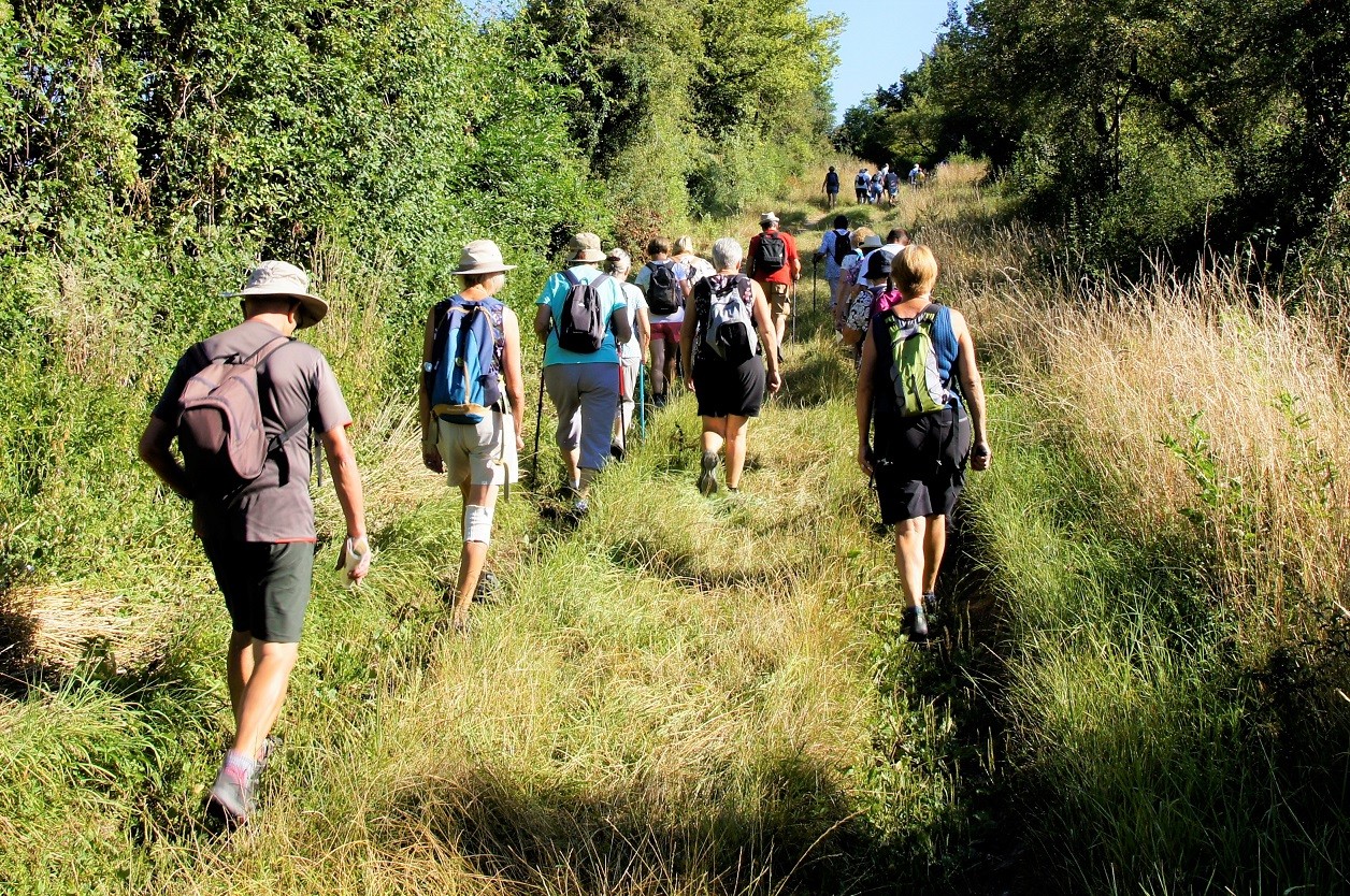 Marcheurs sur les chemins d'Agonges