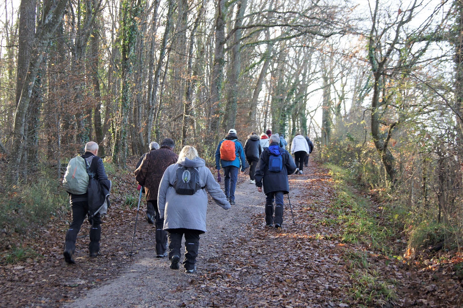 Marcheurs sur les chemins de Bellerive sur Allier