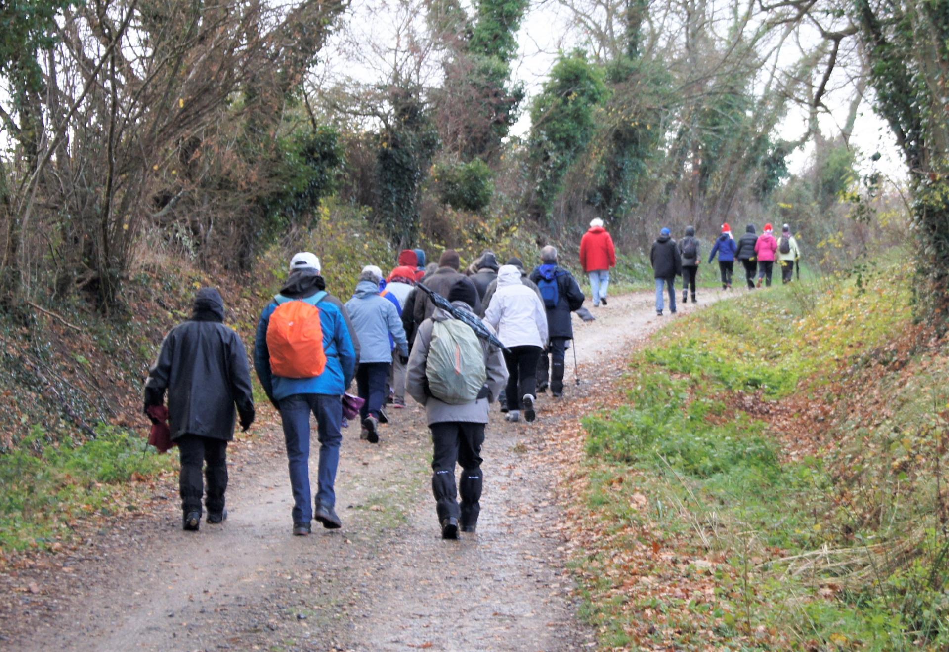 Marcheurs sur les chemins de Bellerive sur Allier-1