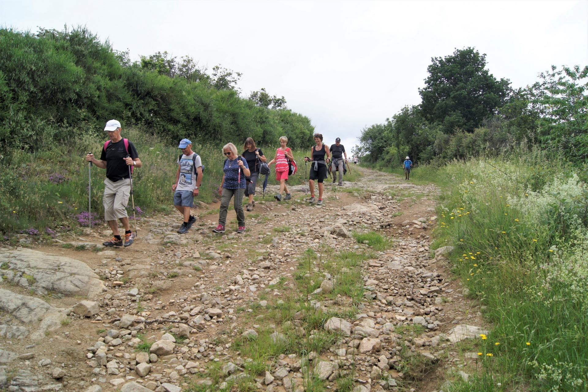 Marcheurs sur les chemins de Volvic